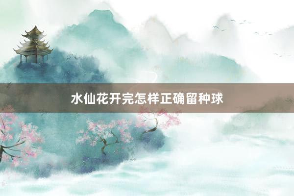 水仙花开完怎样正确留种球