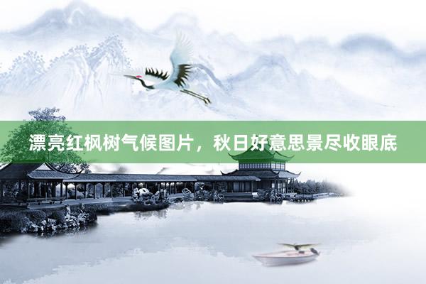 漂亮红枫树气候图片,秋日好意思景尽收眼底