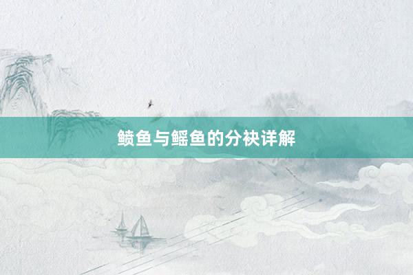 鲼鱼与鳐鱼的分袂详解