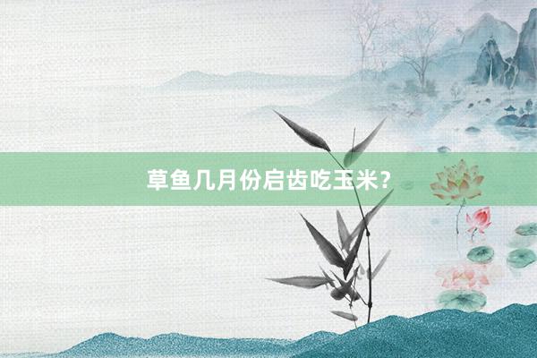 草鱼几月份启齿吃玉米？