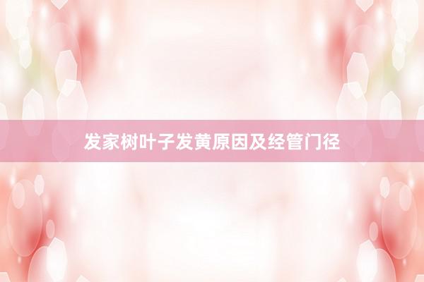 发家树叶子发黄原因及经管门径