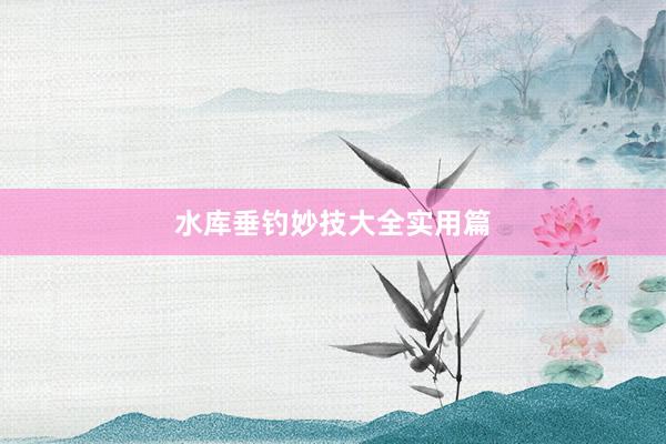 水库垂钓妙技大全实用篇